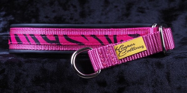 3/4 Inch Collar Pink Tiger on Dk. Pink Web with Black Leather and Chrome Hardware