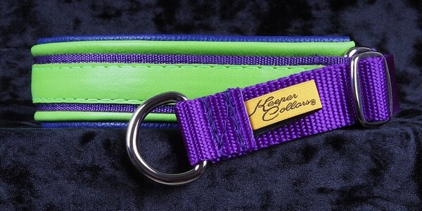 1 Inch Triple-Dog-Dare-Ya Collar Lime Green Leather on Purple Web with Lime Green and Purple Leather and Chrome Hardware
