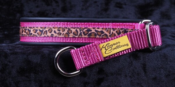 3/4 Inch Collar Leopard on Dk. Pink Web with Black Leather and Chrome Hardware