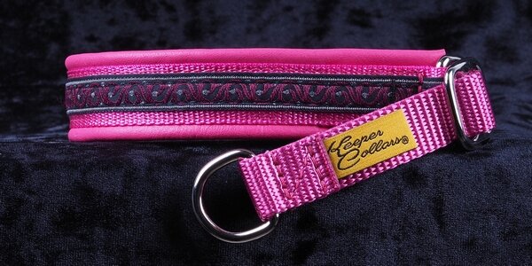 3/4 Inch Collar Silver and Burgundy Scroll on Dk. Pink Web with Dark Pink Leather and Chrome Hardware