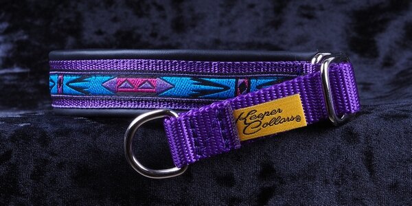 3/4 Inch Collar Teal and Purple Arizona on Purple Web with Black Leather and Chrome Hardware