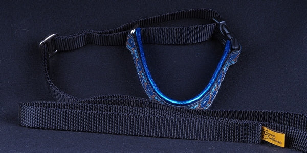 1 1/2 Inch Collead, Lead and Martingale Collar