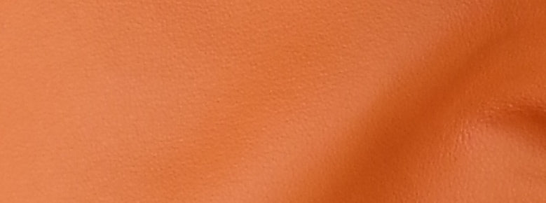 L22 Orange Leather