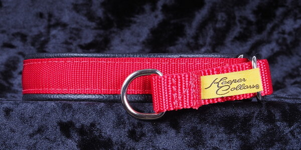3/4 Inch Mamba Collar Red Web with Black Leather and Chrome Hardware