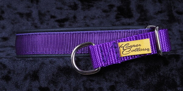 3/4 Inch Mamba Collar Purple Web with Black Leather and Chrome Hardware