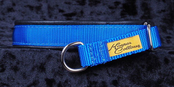3/4 Inch Mamba Collar Royal Blue Web with Black Leather and Chrome Hardware