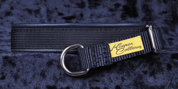 Herm sprenger best sale keeper collar