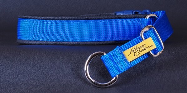 1 Inch Mamba Collar Royal Blue Web with Black Leather and Chrome Hardware