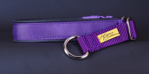 1 Inch Mamba Collar Purple Web with Black Leather and Chrome Hardware