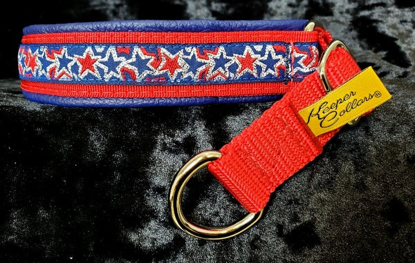 1 Inch Collar Red Stars with Silver and Blue on Red Web with Blue Leather and Chrome Hardware